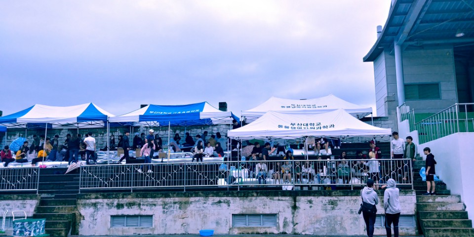 KakaoTalk_20170927_124006440.jpg 첨부 이미지