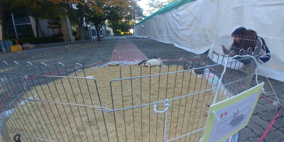 KakaoTalk_20171031_154026109.jpg 첨부 이미지