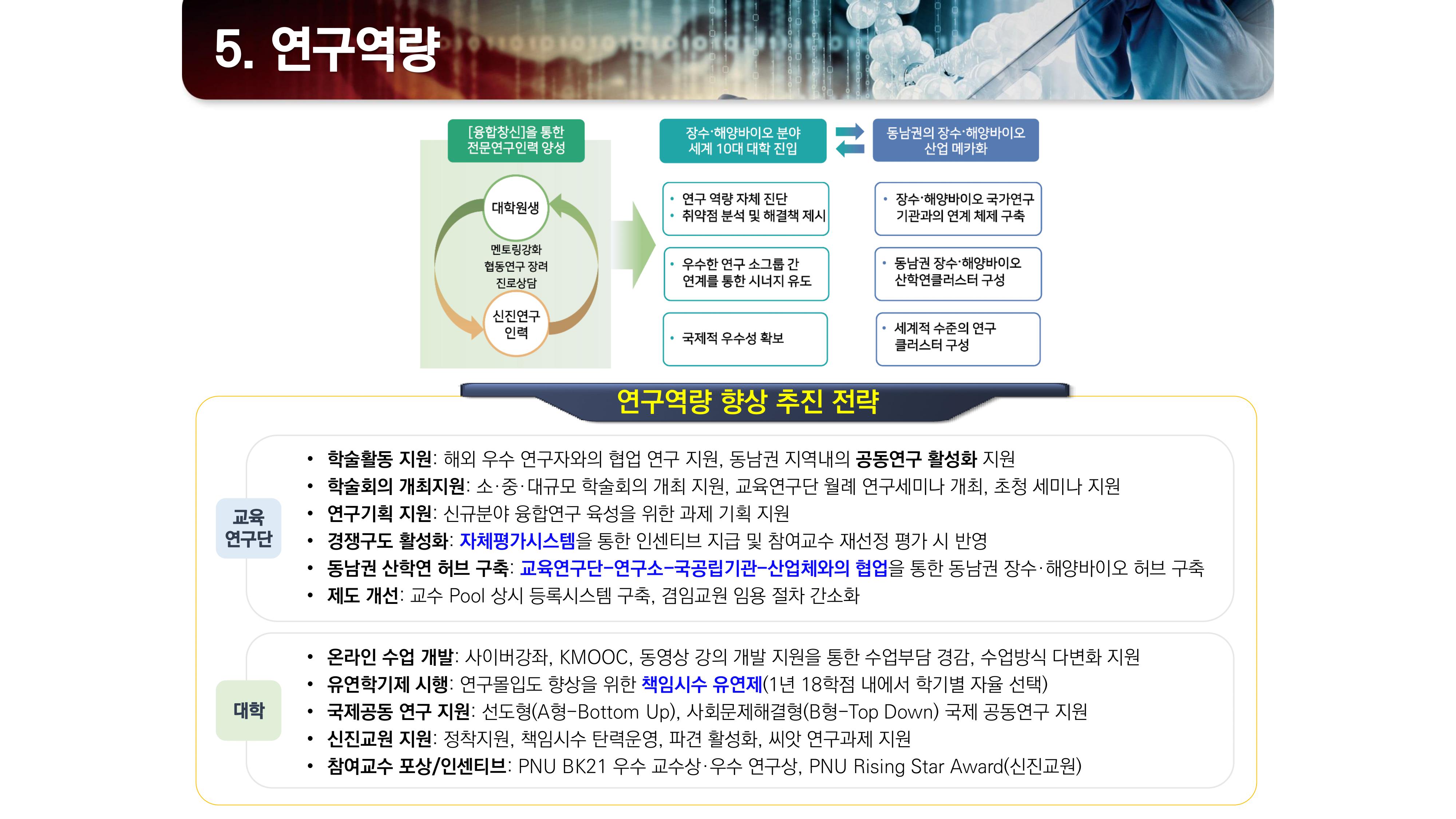 사업내용