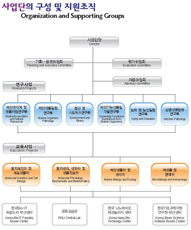 교육연구단구성