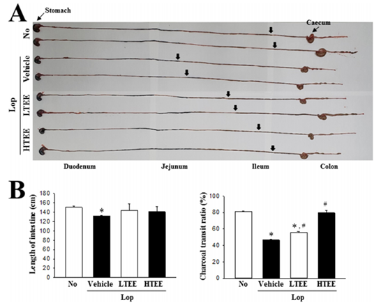 [분자생물실험실] 변비치료용 신소재 개발 및 작용기전 연구