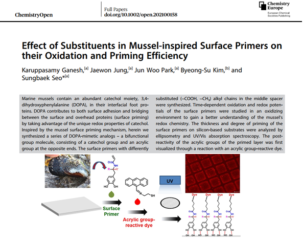 [고분자콜로이드실험실] 홍합접착 모방 표면처리제의 접착프라이밍 효과