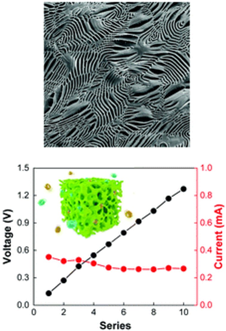 [고분자약물전달실험실] Energy harvesting을 위한 선택적 이온 수송이 가능한 블록 공중합체 막 개발