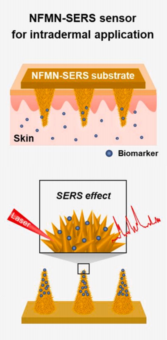 [고분자약물전달실험실] SERS 기반 바이오마커 검출을 위한 나노패턴화된 마이크로니들 개발