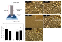 [고분자약물전달실험실] 히알루론산 기반 동결보존제 개발
