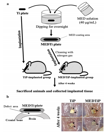[분자생물실험실] 새로운 세포부착 촉진제 개발