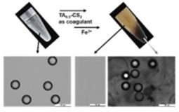 [고분자콜로이드실험실] 미세플라스틱 제거용 고분자 합성