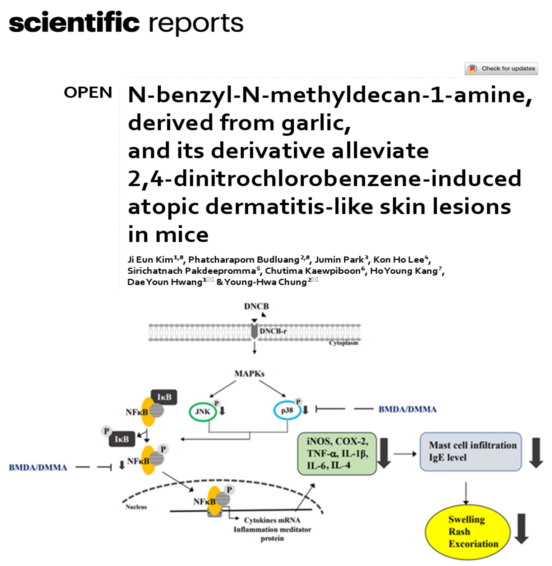 [분자생물실험실] 아토피질환에 우수한 효능을 나타내는 의약품 단일물질 개발