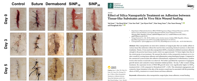 [고분자콜로이드실험실] 실리카 나노입자를 이용한 조직 접착제 개발