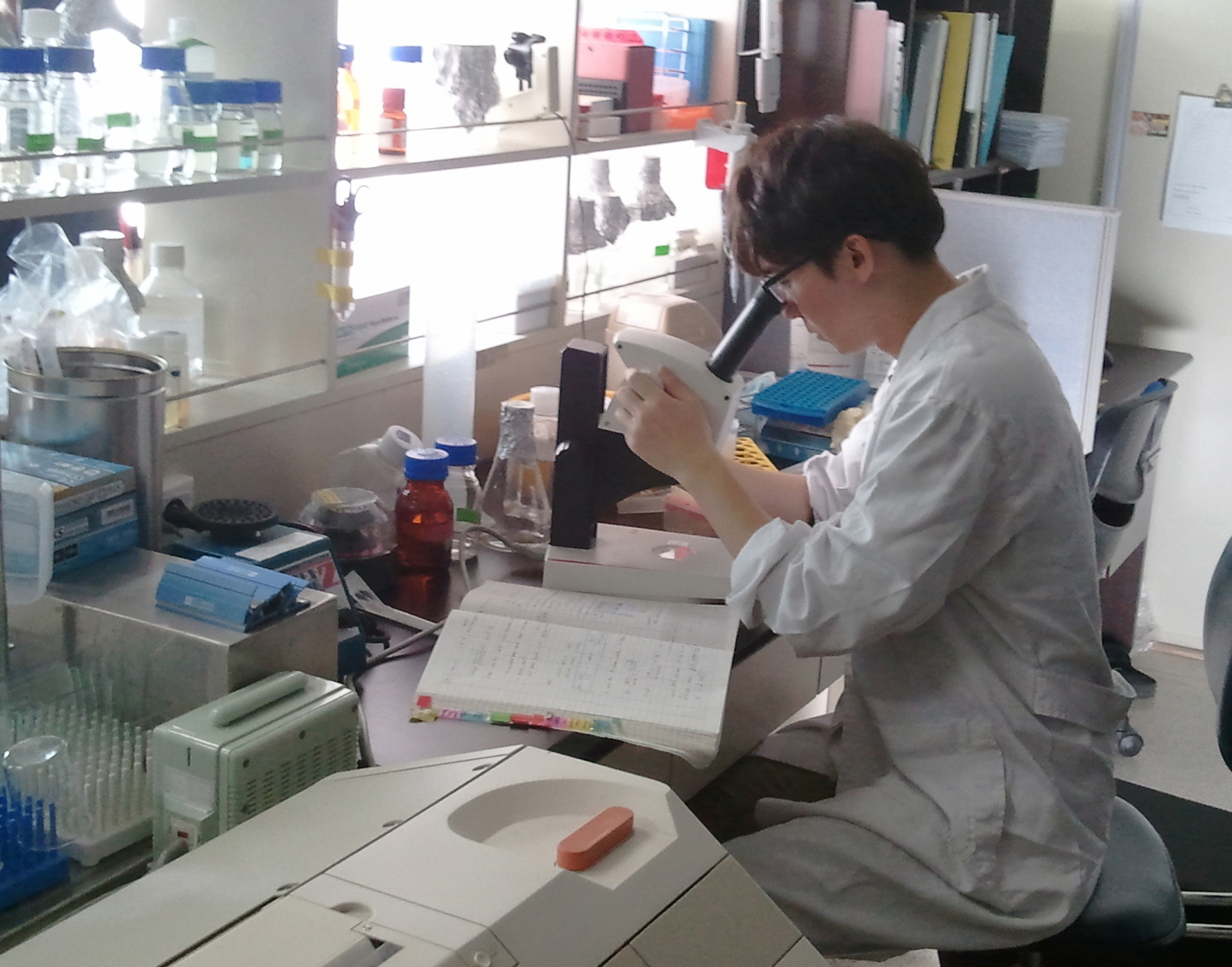 분자생물실험실3.jpg 첨부 이미지