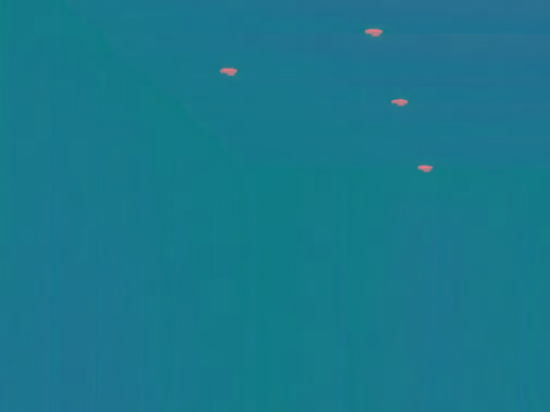 2021 정기연주회