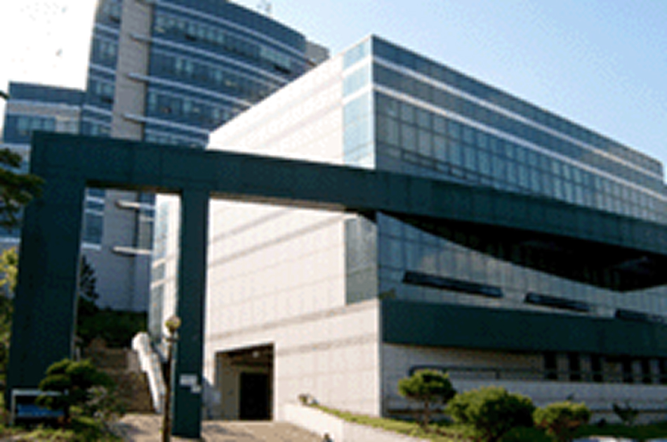 수학과