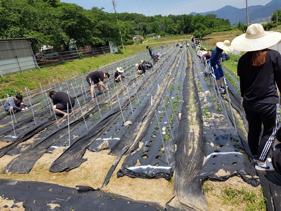KakaoTalk_20190611_143452193_02.jpg 첨부 이미지