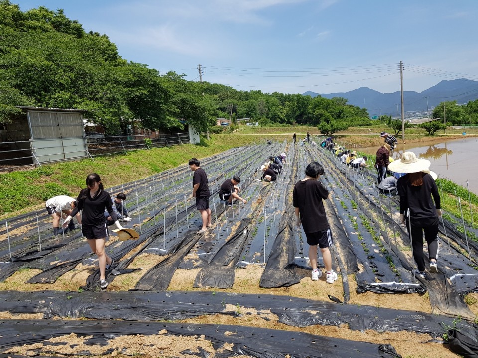 KakaoTalk_20190611_143452193_03.jpg 첨부 이미지