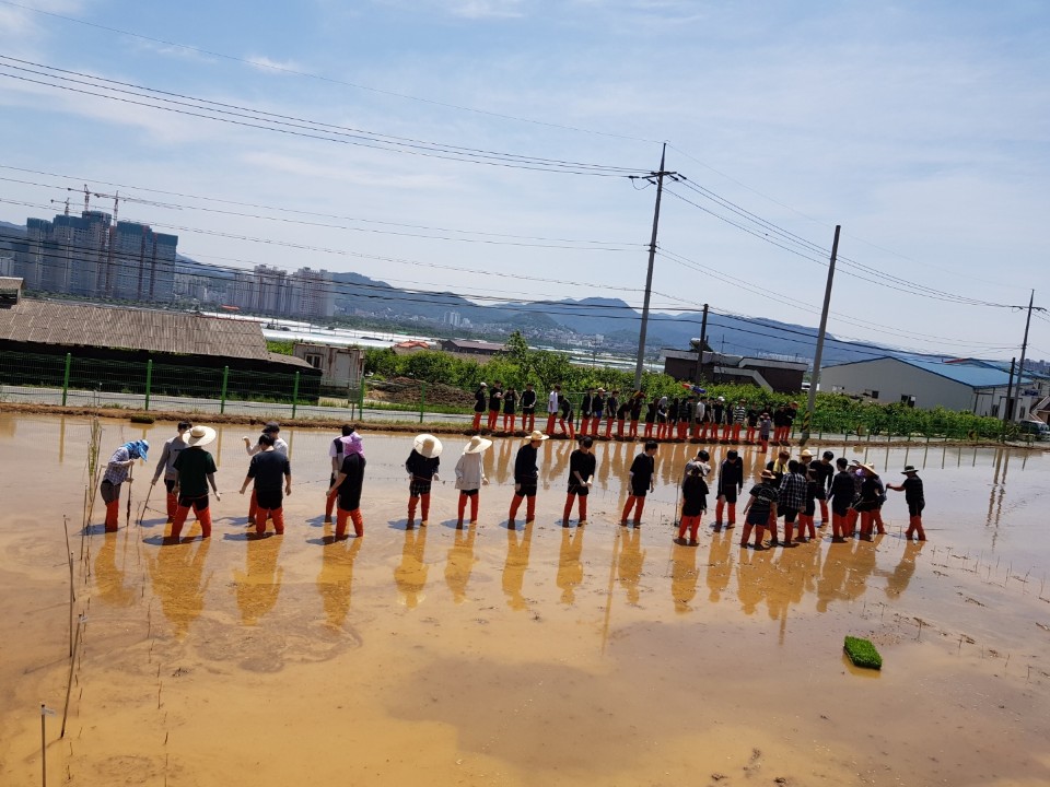 KakaoTalk_20190611_143452193_01.jpg 첨부 이미지