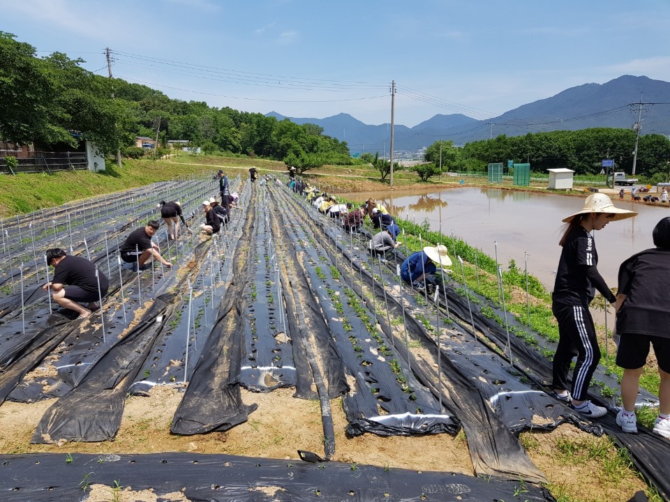 KakaoTalk_20190611_143452193_04.jpg 첨부 이미지