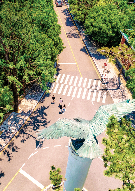 설명